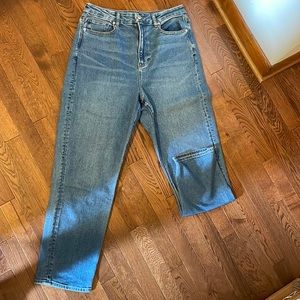 American Eagle Curvy Mom Jean